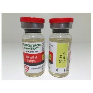 Test E Testosteron Enanthate 250 mg 10 ml